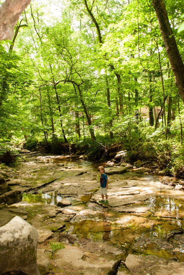 Monte Sano Nature Preserve - Summer vacation ideas for Atlanta families - Huntsville